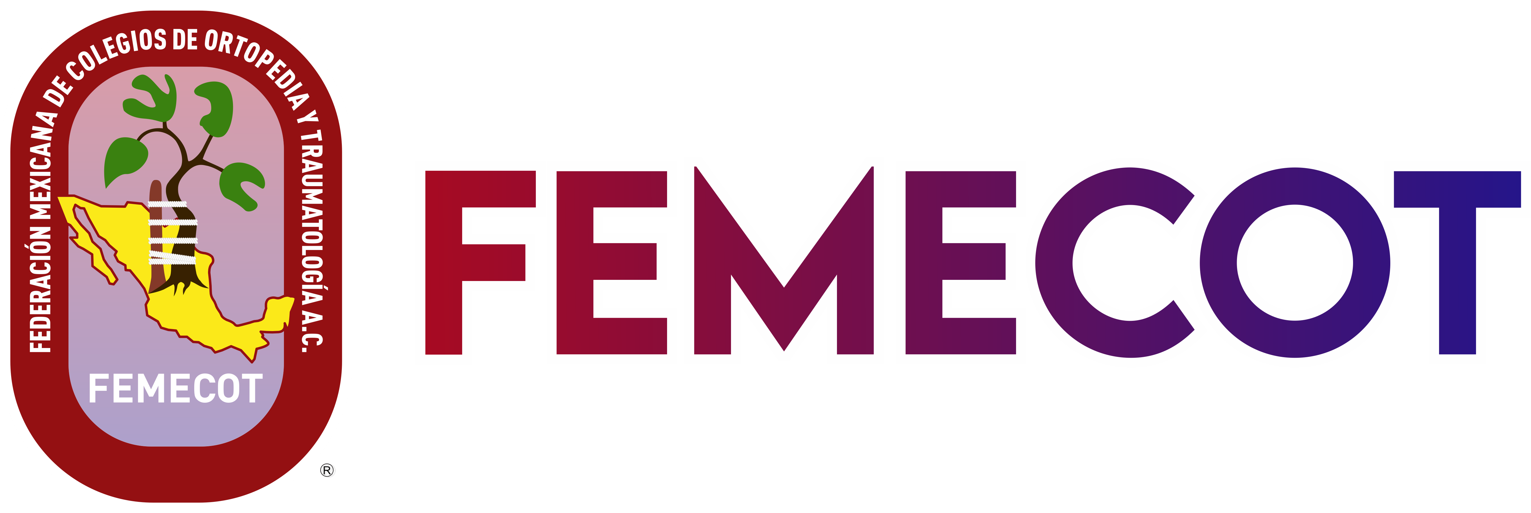 Logo FEMECOT